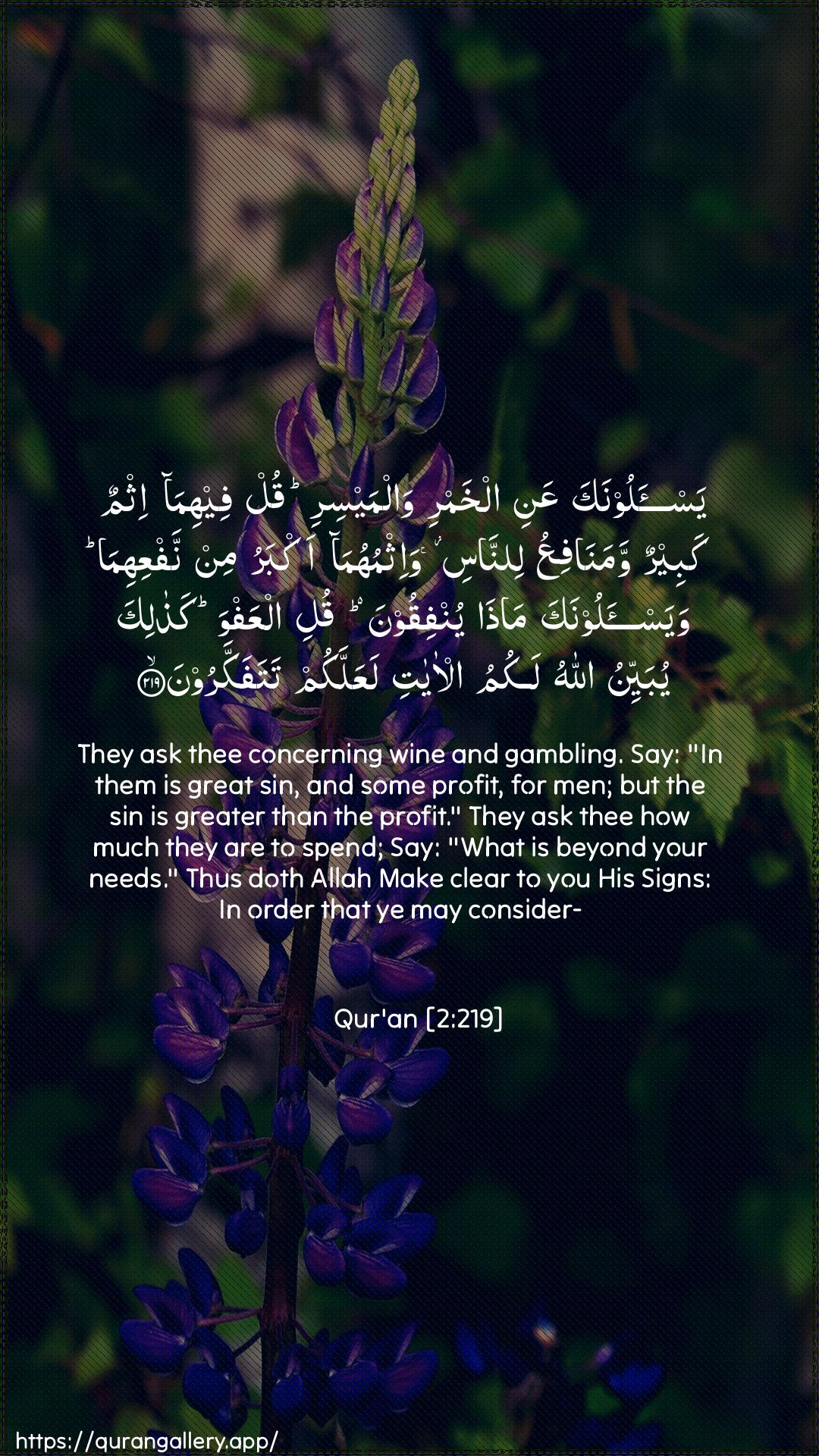 Surah Al-Baqara Ayah 219 of 2 HD Wallpaper: Download Beautiful vertical Quran Verse Image | Yas-aloonaka AAani alkhamri walmaysiriqul feehima ithmun kabeerun wamanafiAAu linnasiwa-ithmuhuma akbaru min nafAAihima wayas-aloonaka mathayunfiqoona quli alAAafwa kathalika yubayyinu Allahulakumu al-ayati laAAallakum tatafakkaroon