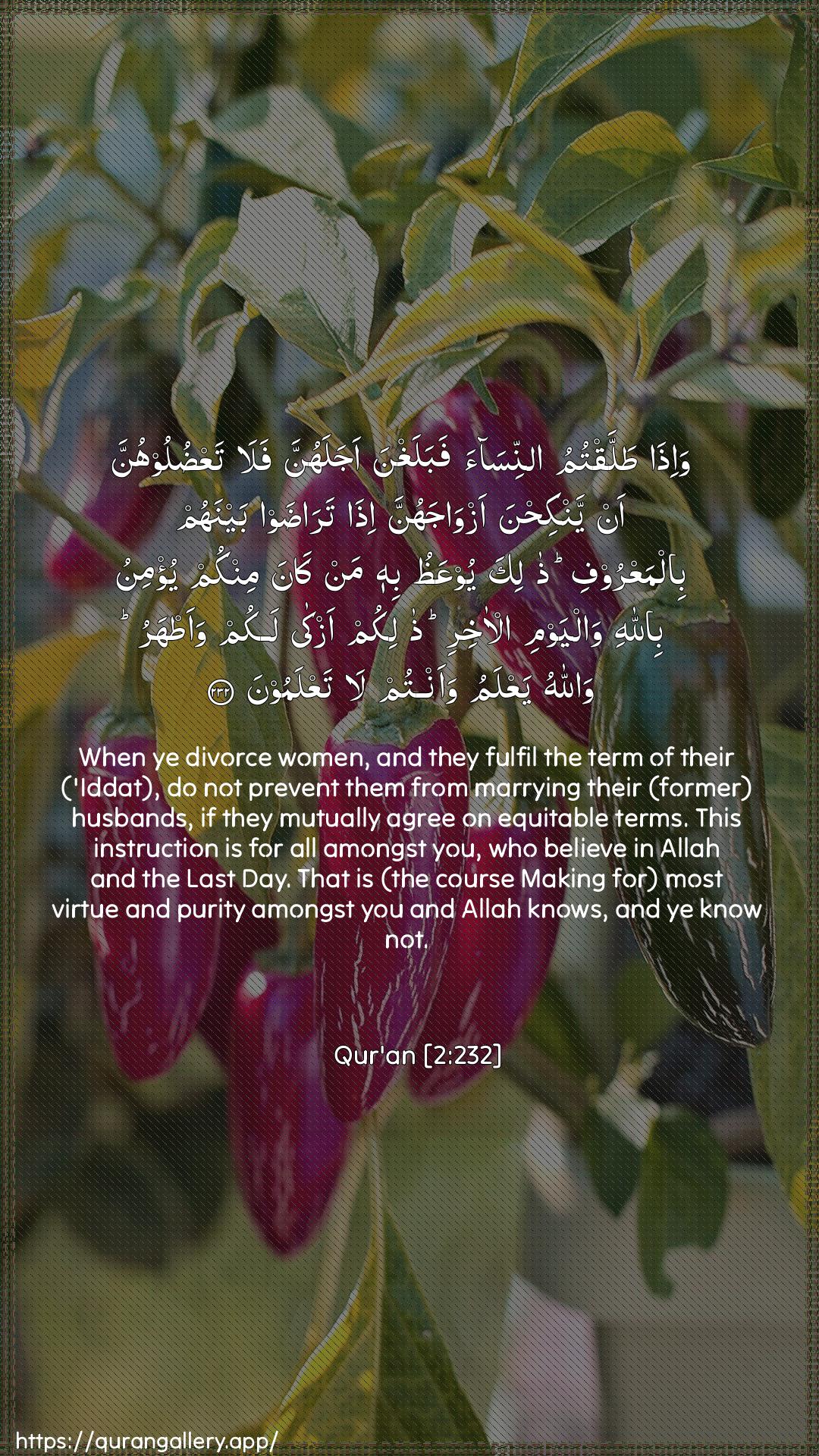 Surah Al-Baqara Ayah 232 of 2 HD Wallpaper: Download Beautiful vertical Quran Verse Image | Wa-itha tallaqtumu annisaafabalaghna ajalahunna fala taAAduloohunna an yankihnaazwajahunna itha taradaw baynahum bilmaAAroofithalika yooAAathu bihi man kanaminkum yu/minu billahi walyawmi al-akhirithalikum azka lakum waatharu wallahuyaAAlamu waantum la taAAlamoon