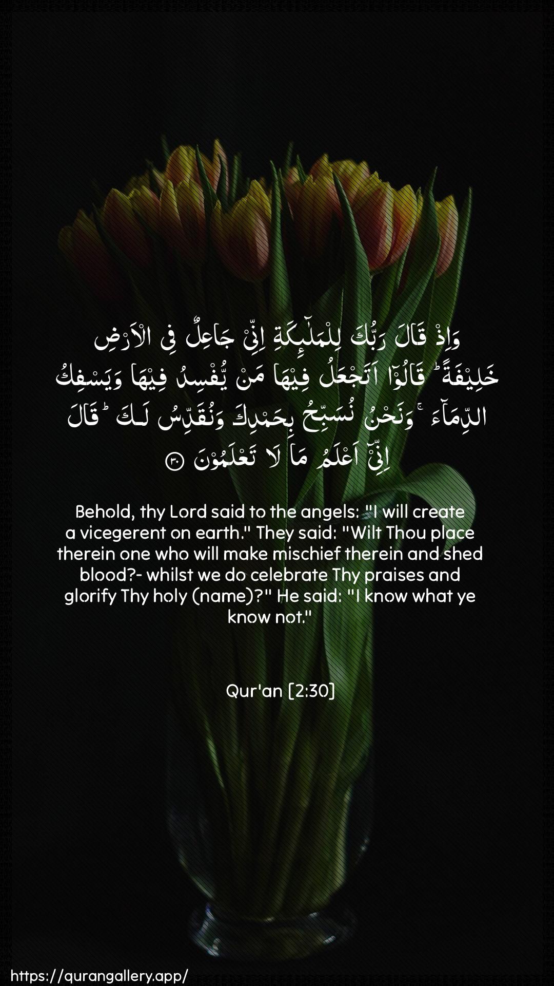 Surah Al-Baqara Ayah 30 of 2 HD Wallpaper: Download Beautiful vertical Quran Verse Image | Wa-ith qala rabbuka lilmala-ikatiinnee jaAAilun fee al-ardi khaleefatan qalooatajAAalu feeha man yufsidu feeha wayasfiku addimaawanahnu nusabbihu bihamdika wanuqaddisu lakaqala innee aAAlamu ma la taAAlamoon