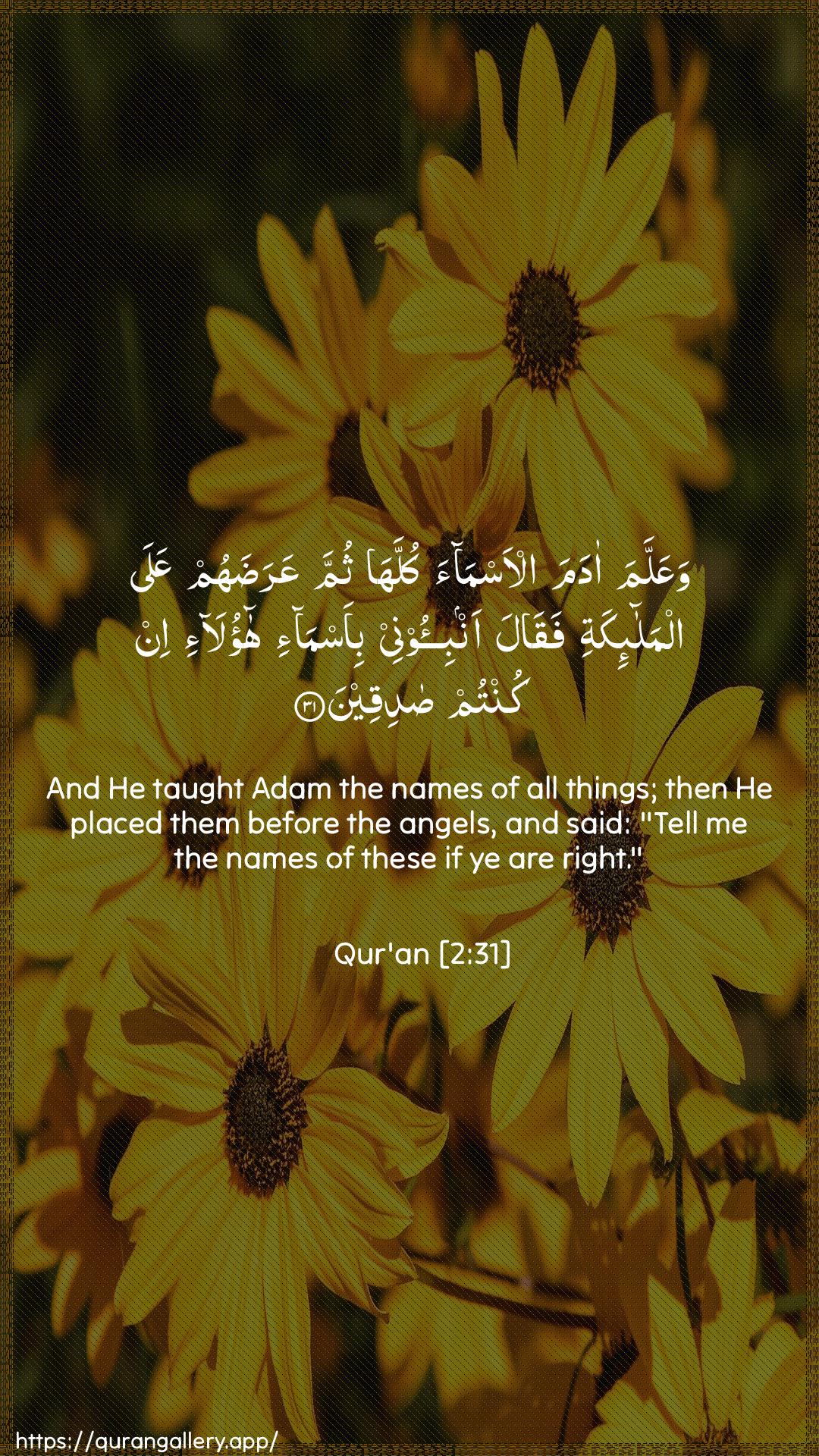 Surah Al-Baqara Ayah 31 of 2 HD Wallpaper: Download Beautiful vertical Quran Verse Image | WaAAallama adama al-asmaakullaha thumma AAaradahum AAala almala-ikatifaqala anbi-oonee bi-asma-i haola-iin kuntum sadiqeen