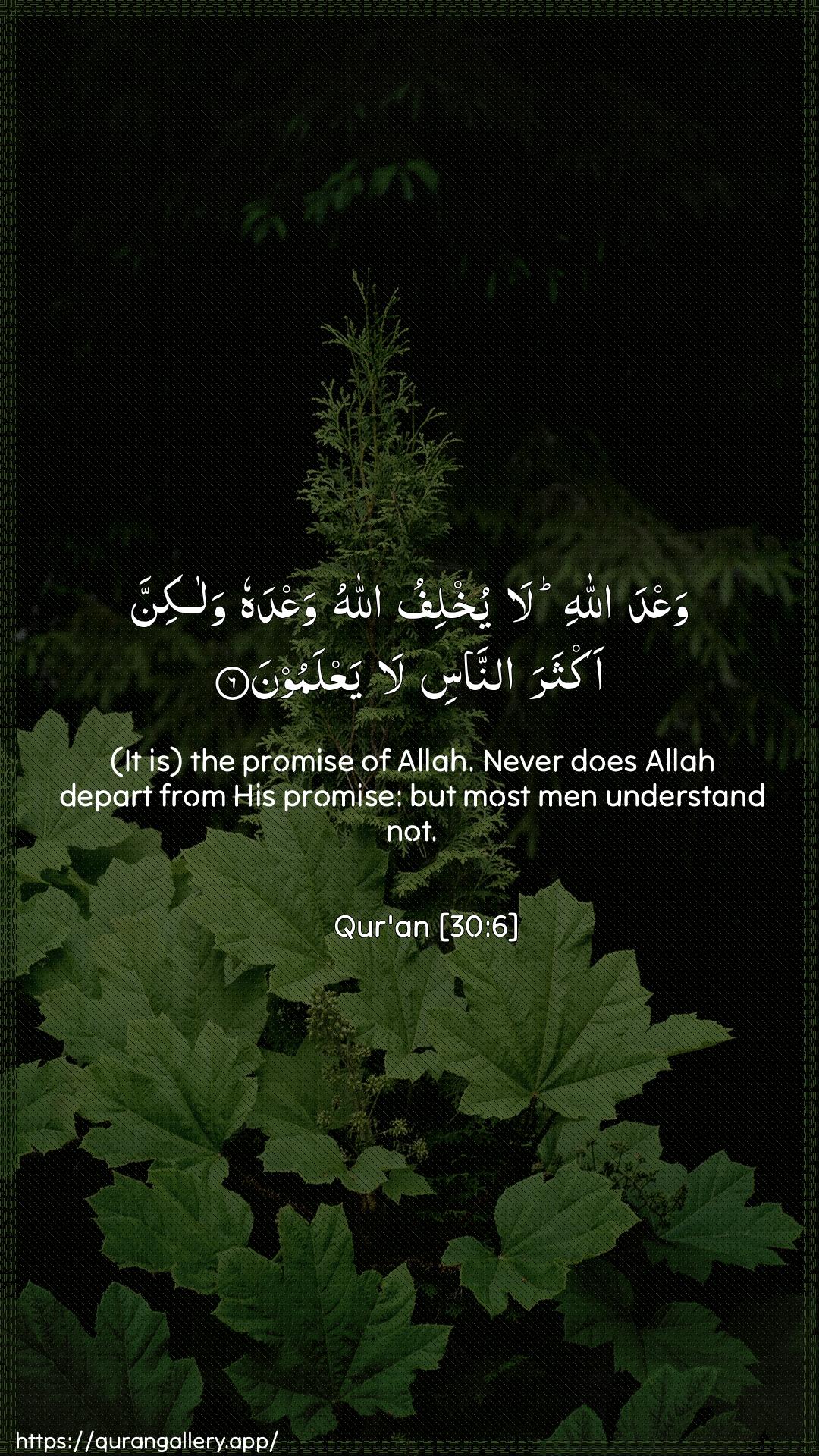 Surah Ar-Room Ayah 6 of 30 HD Wallpaper: Download Beautiful vertical Quran Verse Image | WaAAda Allahi la yukhlifu AllahuwaAAdahu walakinna akthara annasi layaAAlamoon