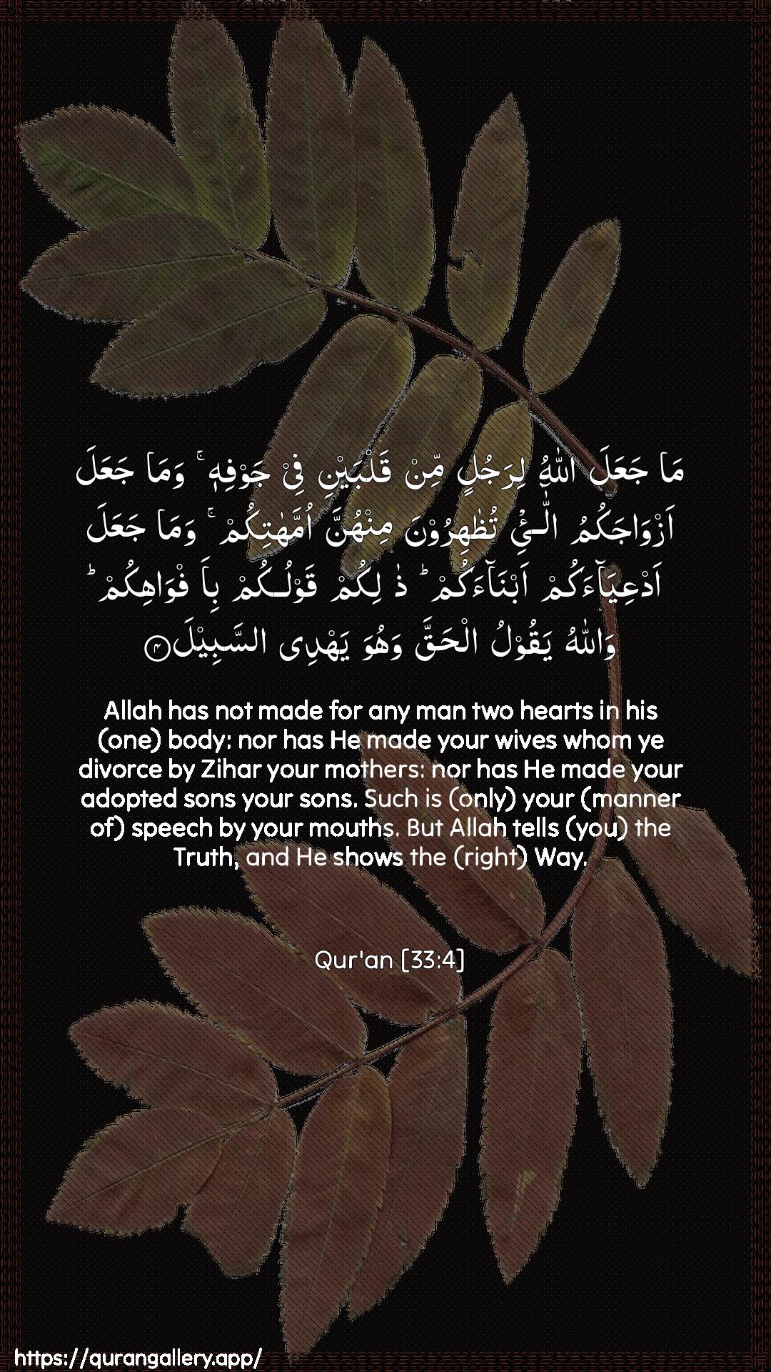 Surah Al-Ahzaab Ayah 4 of 33 HD Wallpaper: Download Beautiful vertical Quran Verse Image | Ma jaAAala Allahu lirajulin minqalbayni fee jawfihi wama jaAAala azwajakumu alla-eetuthahiroona minhunna ommahatikum wamajaAAala adAAiyaakum abnaakum thalikumqawlukum bi-afwahikum wallahu yaqoolu alhaqqawahuwa yahdee assabeel