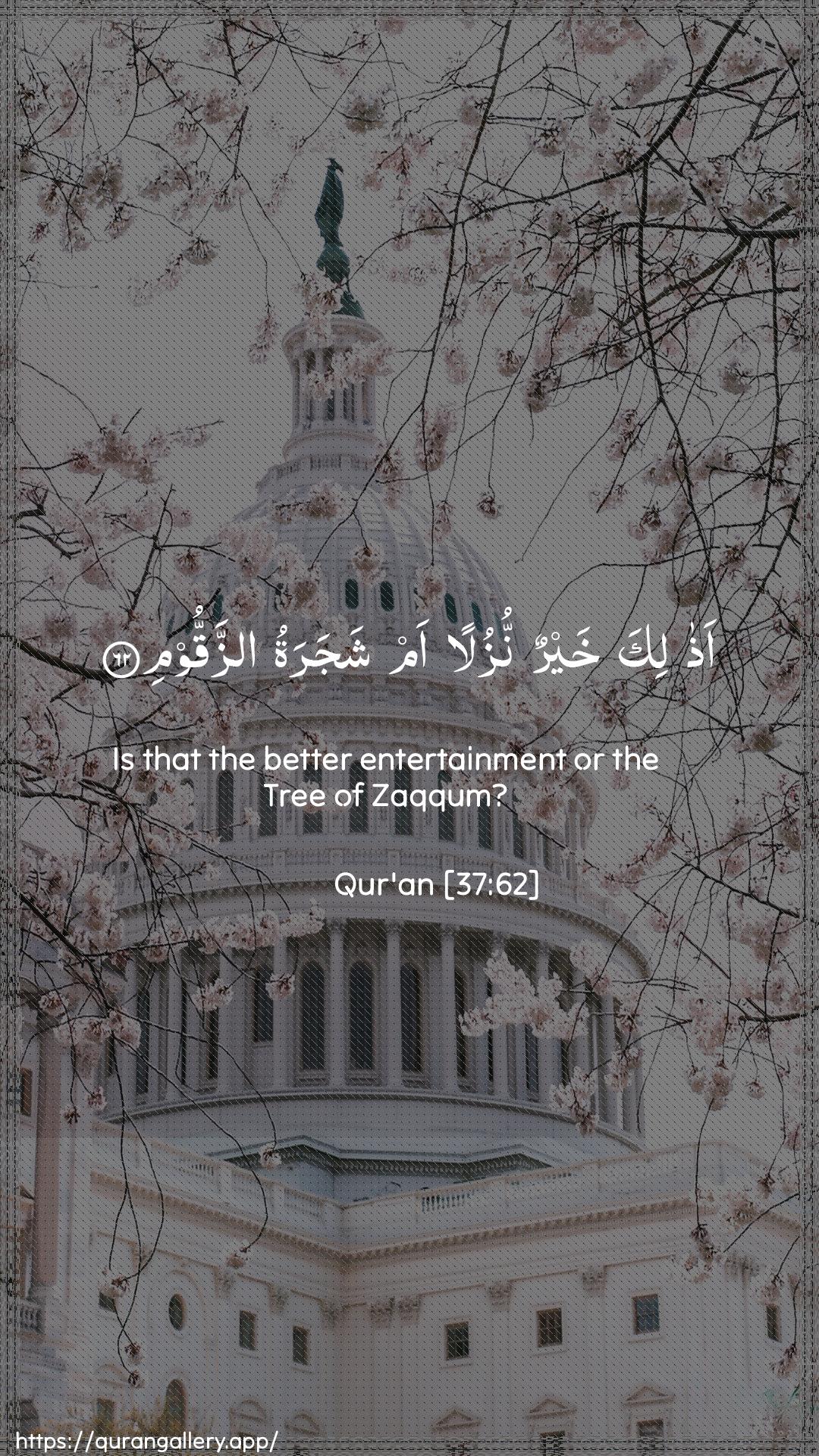 Surah As-Saaffaat Ayah 62 of 37 HD Wallpaper: Download Beautiful vertical Quran Verse Image | Athalika khayrun nuzulan am shajaratuazzaqqoom