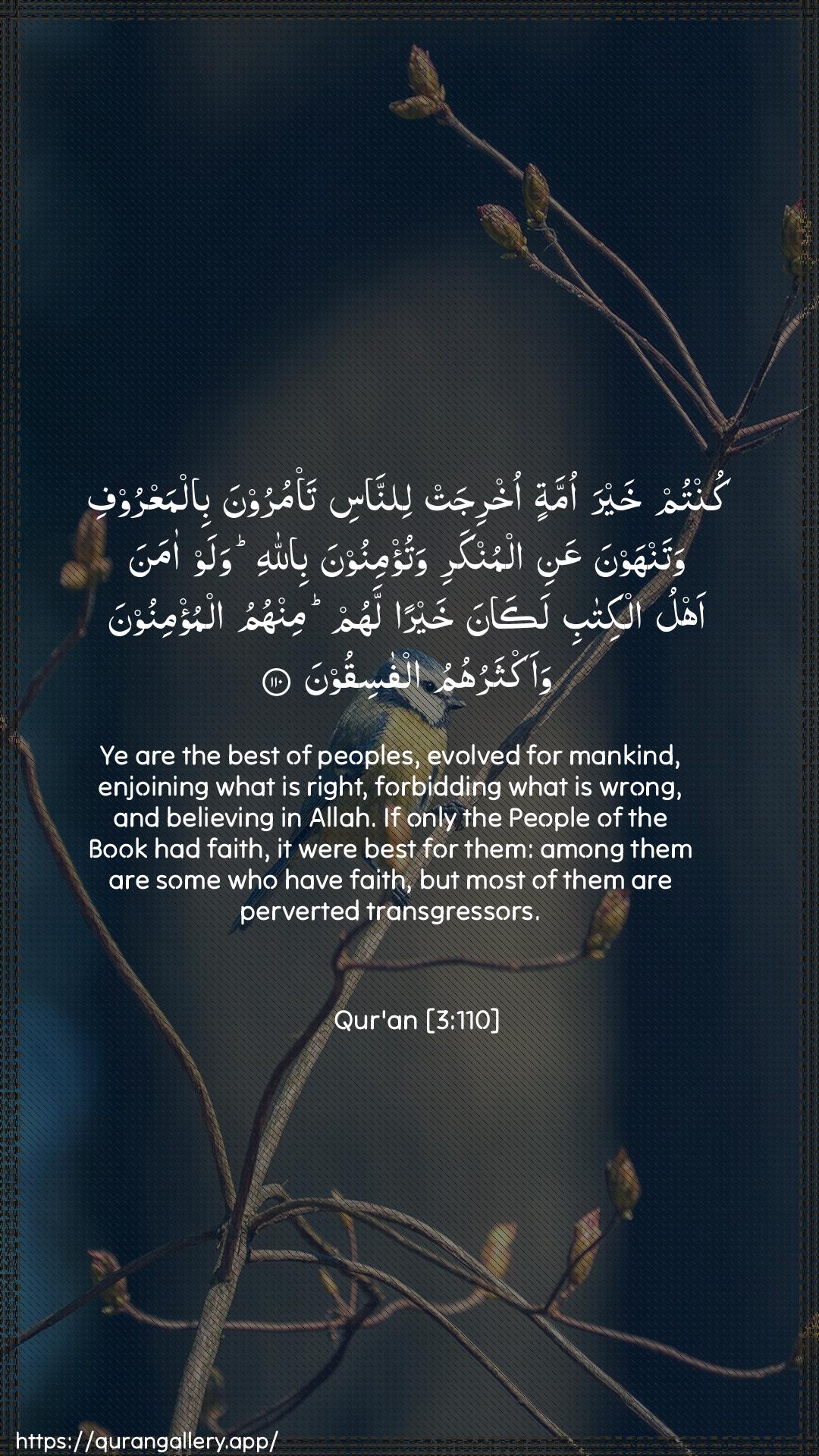 Surah Aal-i-Imraan Ayah 110 of 3 HD Wallpaper: Download Beautiful vertical Quran Verse Image | Kuntum khayra ommatin okhrijat linnasita/muroona bilmaAAroofi watanhawna AAani almunkariwatu/minoona billahi walaw amana ahlu alkitabilakana khayran lahum minhumu almu/minoona waaktharuhumualfasiqoon