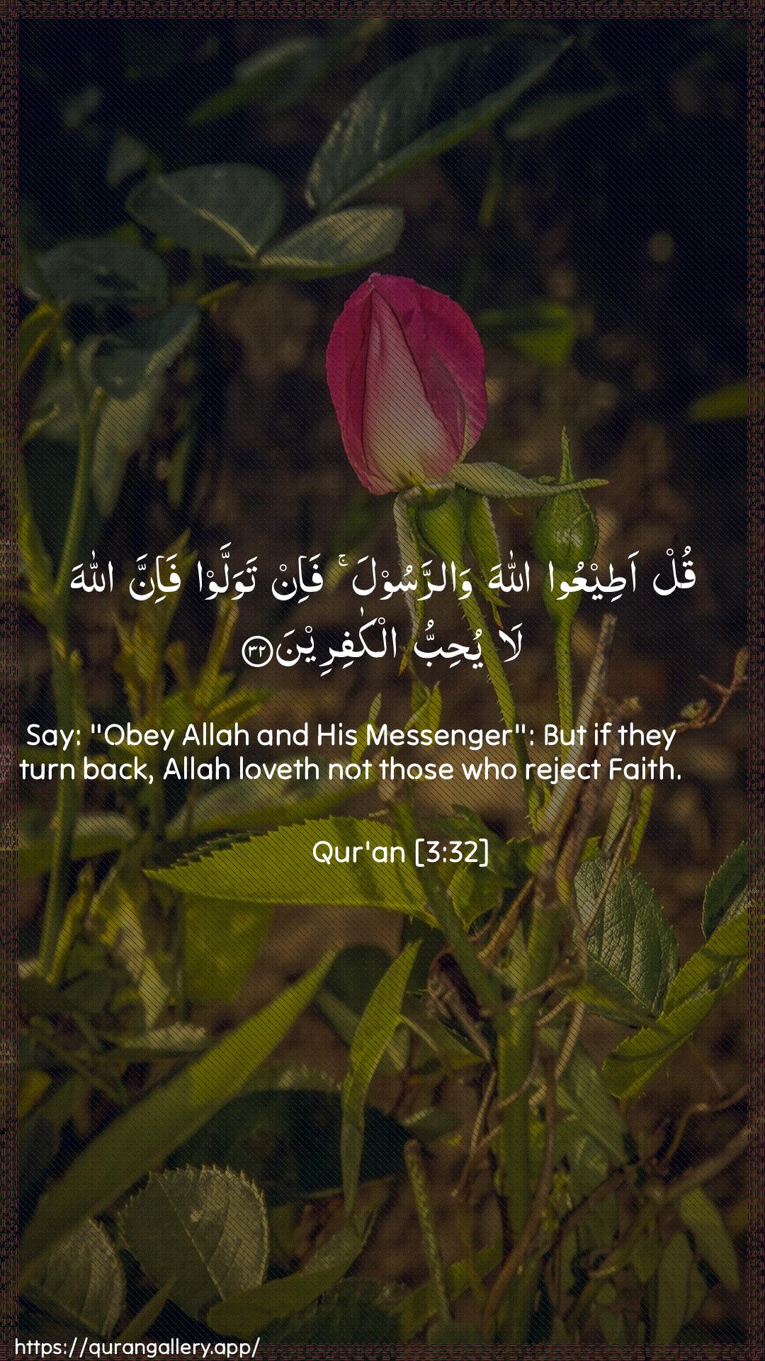 Surah Aal-i-Imraan Ayah 32 of 3 HD Wallpaper: Download Beautiful vertical Quran Verse Image | Qul ateeAAoo Allaha warrasoolafa-in tawallaw fa-inna Allaha la yuhibbu alkafireen