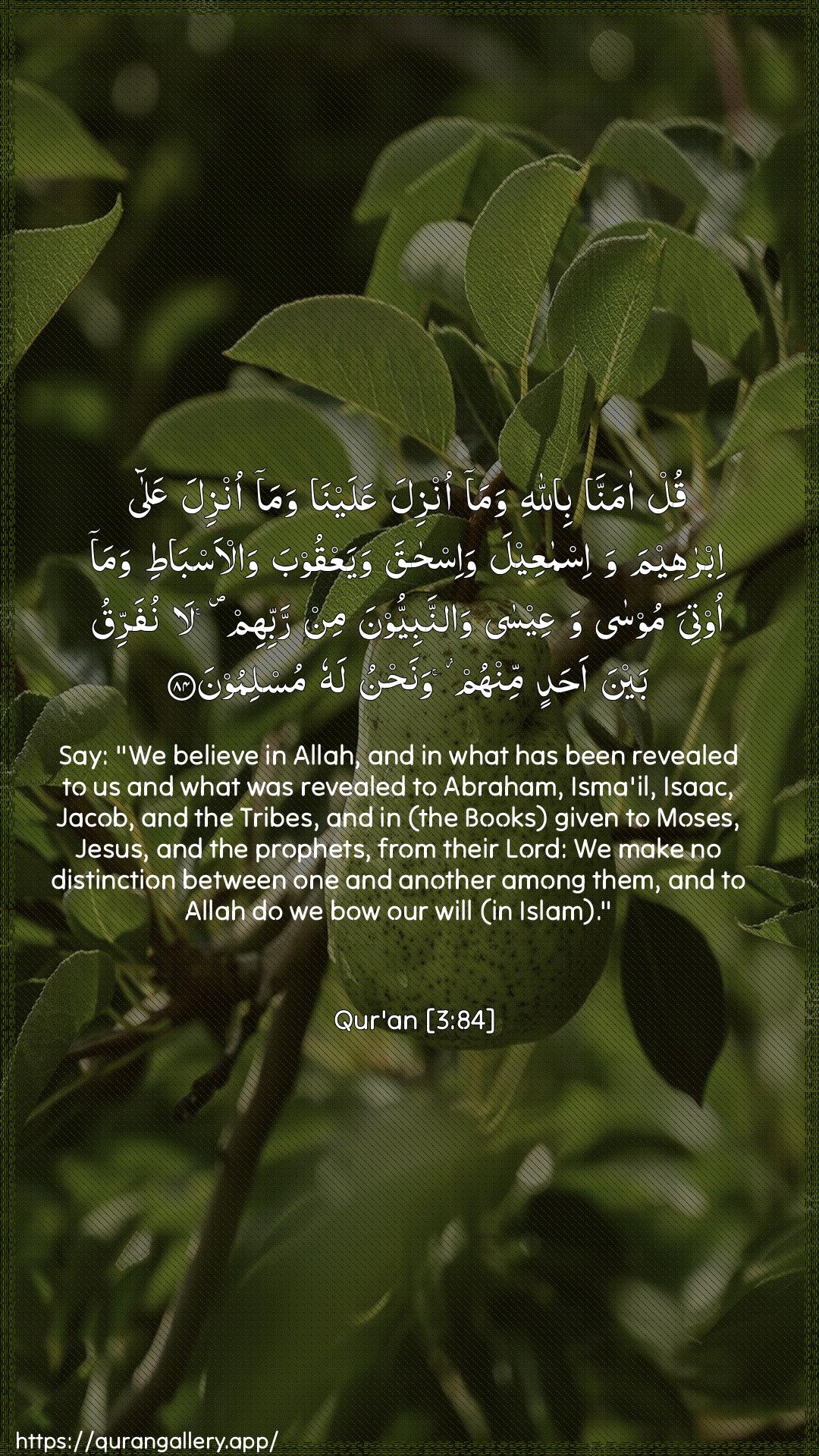 Surah Aal-i-Imraan Ayah 84 of 3 HD Wallpaper: Download Beautiful vertical Quran Verse Image | Qul amanna billahiwama onzila AAalayna wama onzila AAalaibraheema wa-ismaAAeela wa-ishaqawayaAAqooba wal-asbati wama ootiya moosawaAAeesa wannabiyyoona min rabbihim lanufarriqu bayna ahadin minhum wanahnu lahumuslimoon