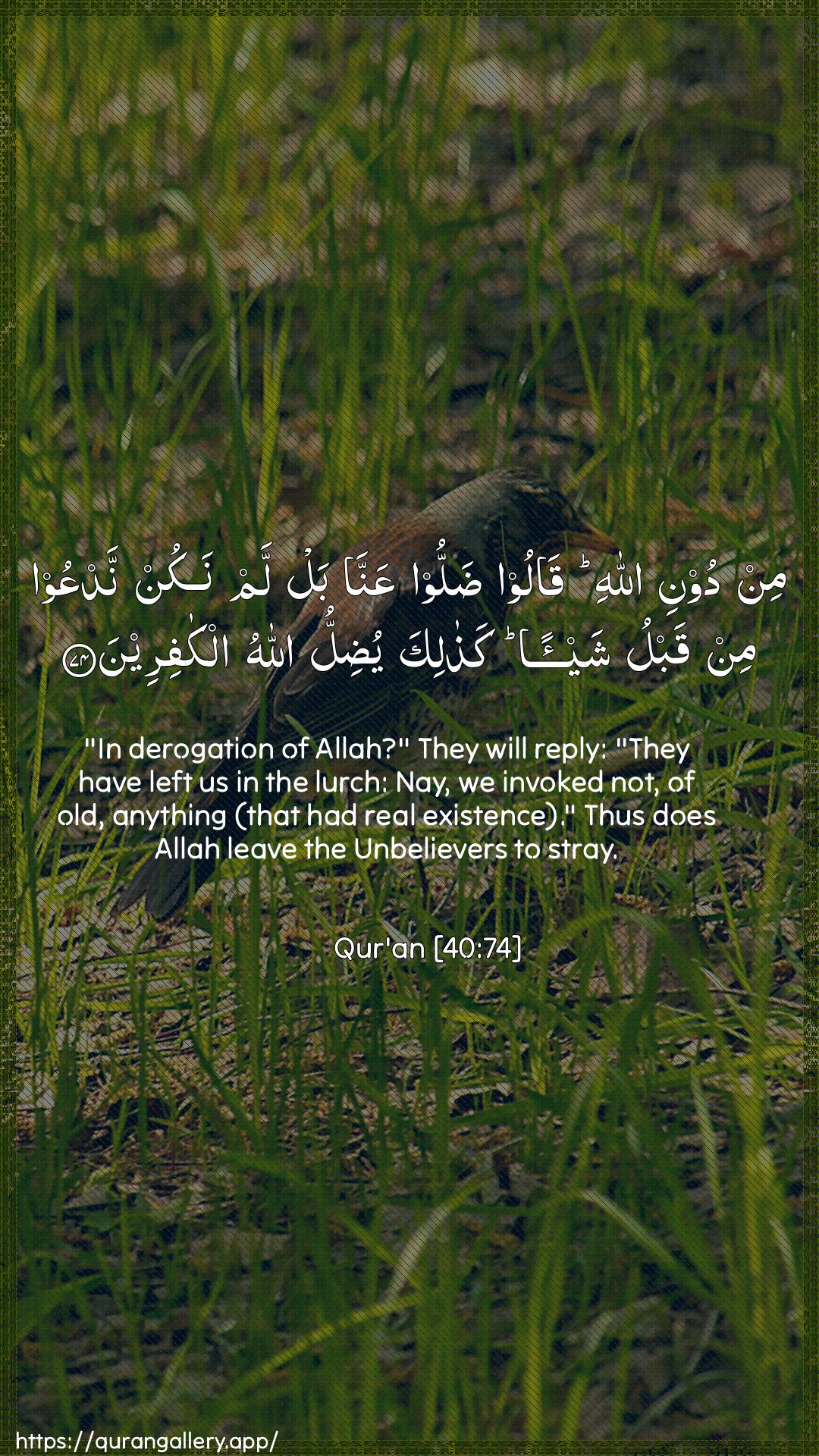 Surah Al-Ghaafir Ayah 74 of 40 HD Wallpaper: Download Beautiful vertical Quran Verse Image | Min dooni Allahi qaloo dallooAAanna bal lam nakun nadAAoo min qablu shay-an kathalikayudillu Allahu alkafireen