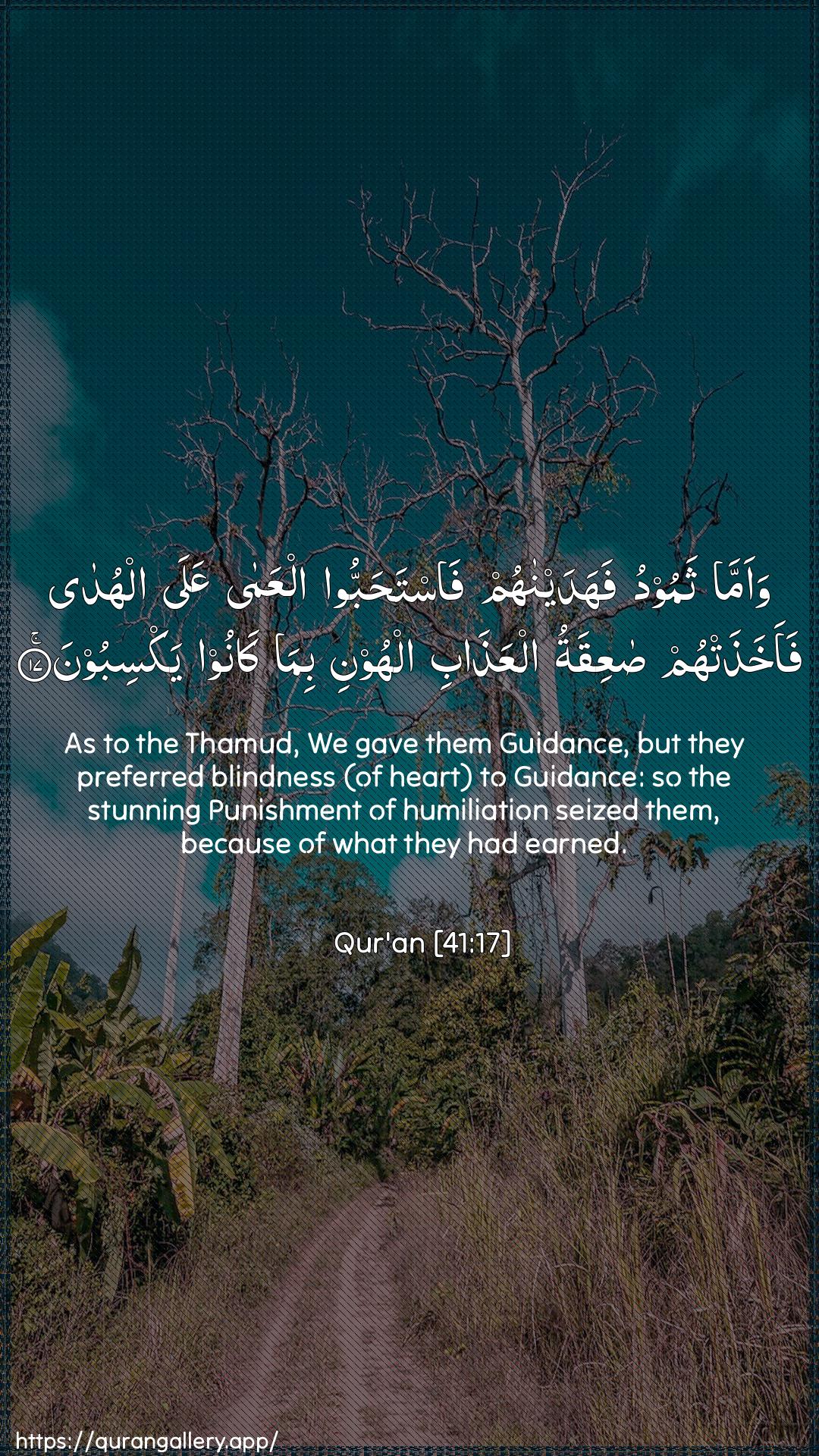 Surah Fussilat Ayah 17 of 41 HD Wallpaper: Download Beautiful vertical Quran Verse Image | Waamma thamoodu fahadaynahumfastahabboo alAAama AAala alhudafaakhathat-hum saAAiqatu alAAathabi alhoonibima kanoo yaksiboon