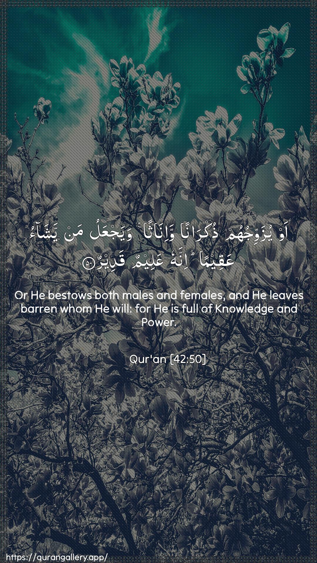 Surah Ash-Shura Ayah 50 of 42 HD Wallpaper: Download Beautiful vertical Quran Verse Image | Aw yuzawwijuhum thukrananwa-inathan wayajAAalu man yashao AAaqeeman innahuAAaleemun qadeer