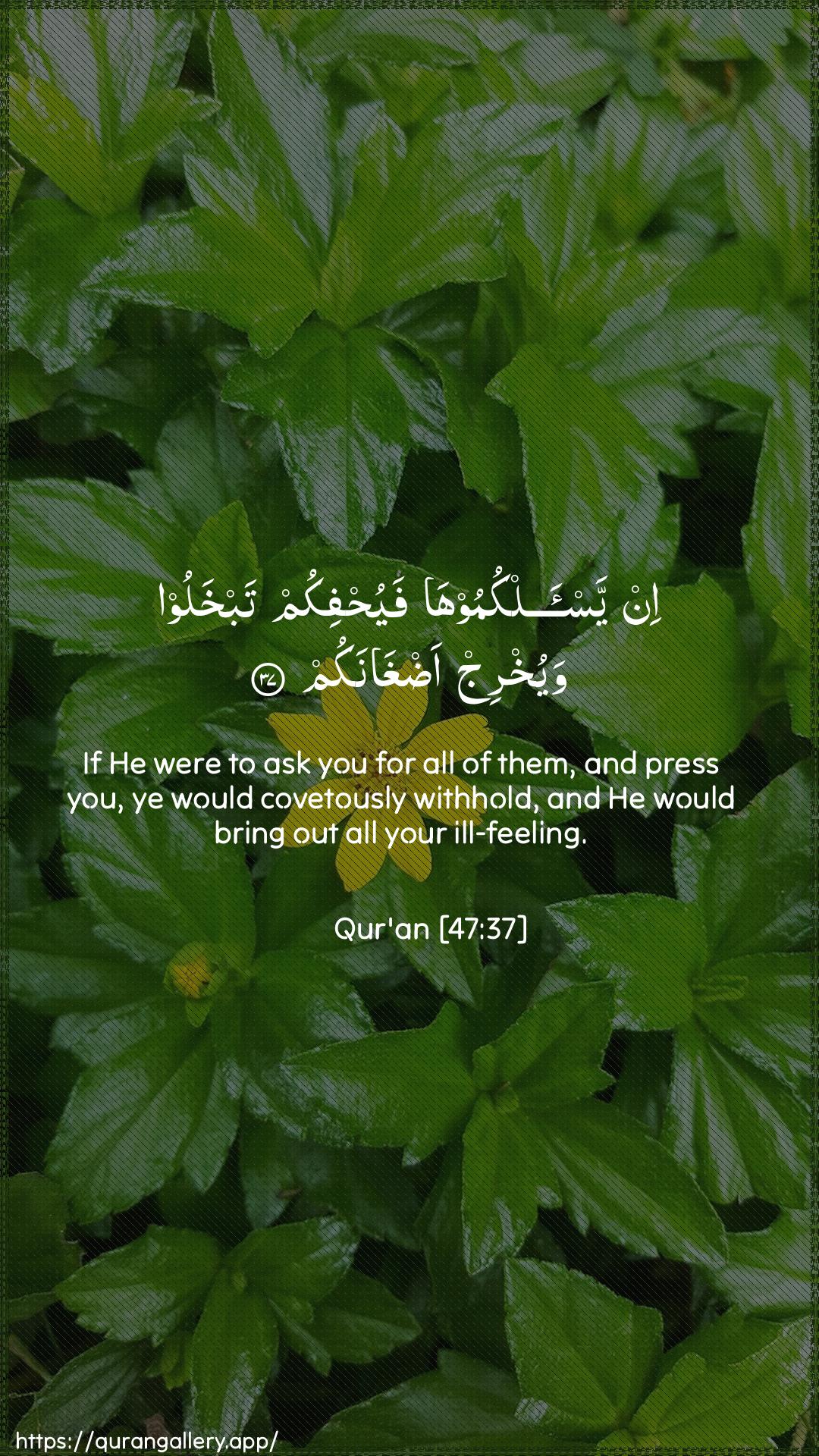 Surah Muhammad Ayah 37 of 47 HD Wallpaper: Download Beautiful vertical Quran Verse Image | In yas-alkumooha fayuhfikumtabkhaloo wayukhrij adghanakum