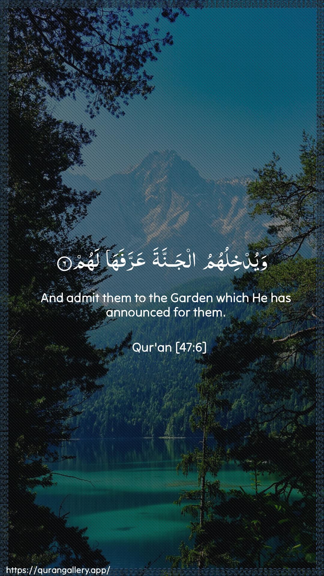 Surah Muhammad Ayah 6 of 47 HD Wallpaper: Download Beautiful vertical Quran Verse Image | Wayudkhiluhumu aljannata AAarrafahalahum