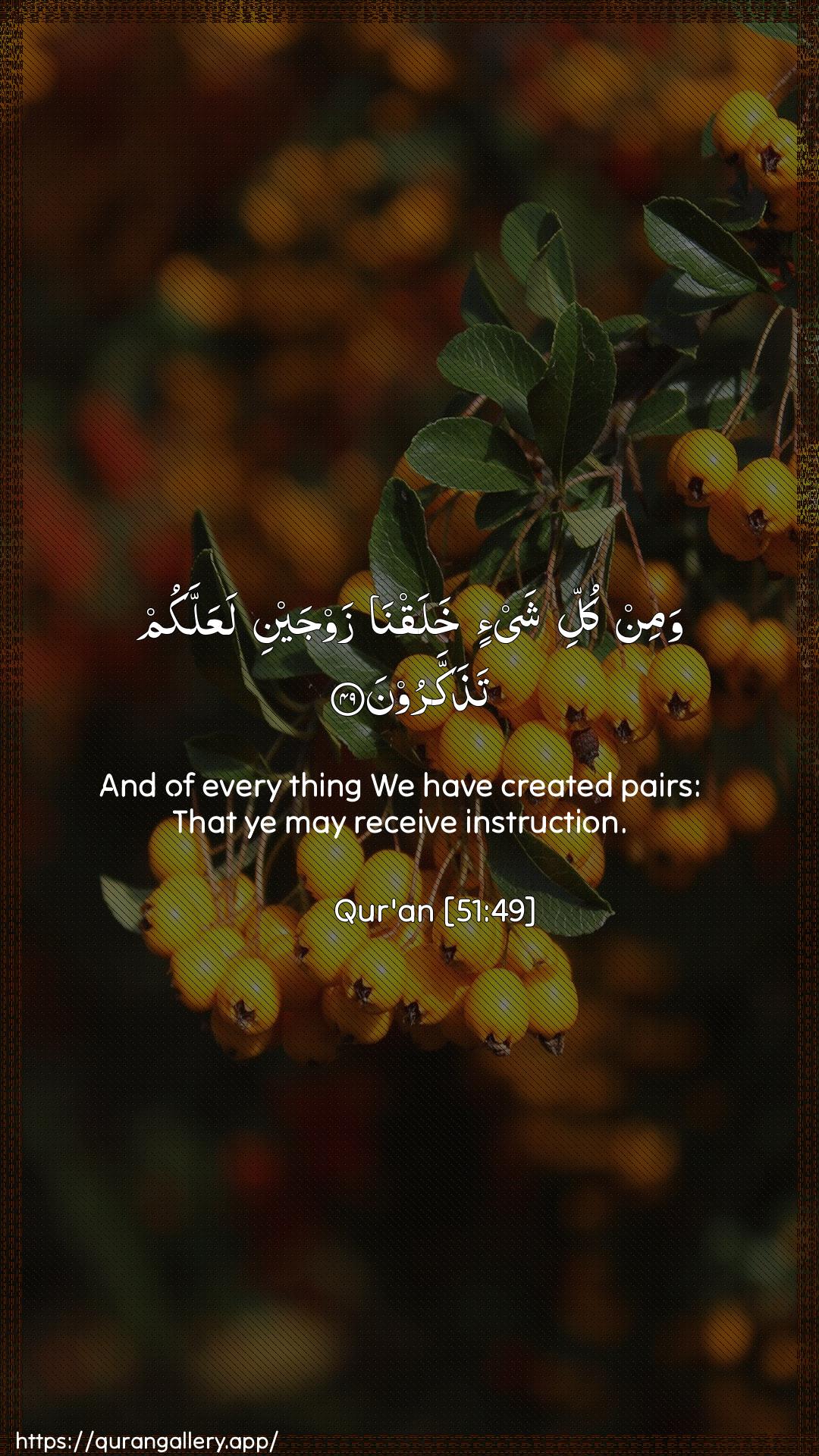 Surah Adh-Dhaariyat Ayah 49 of 51 HD Wallpaper: Download Beautiful vertical Quran Verse Image | Wamin kulli shay-in khalaqna zawjaynilaAAallakum tathakkaroon