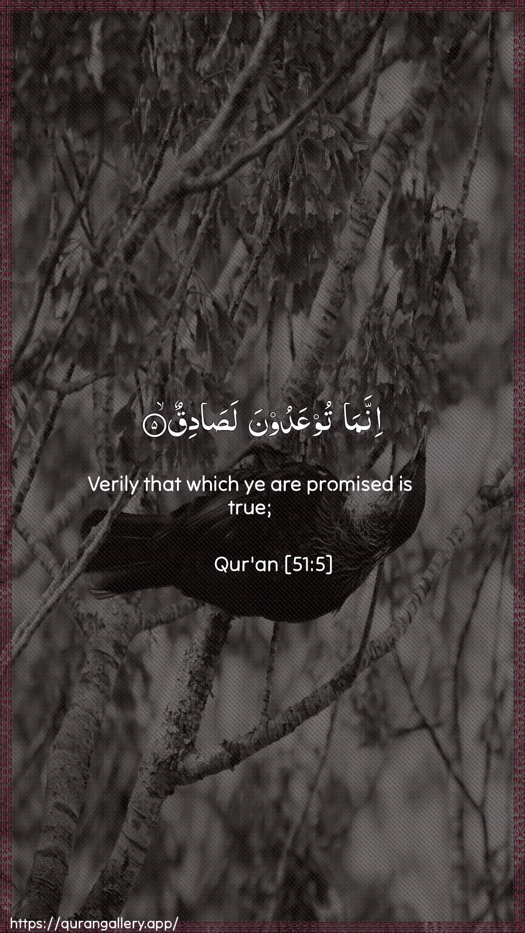 Surah Adh-Dhaariyat Ayah 5 of 51 HD Wallpaper: Download Beautiful vertical Quran Verse Image | Innama tooAAadoona lasadiq