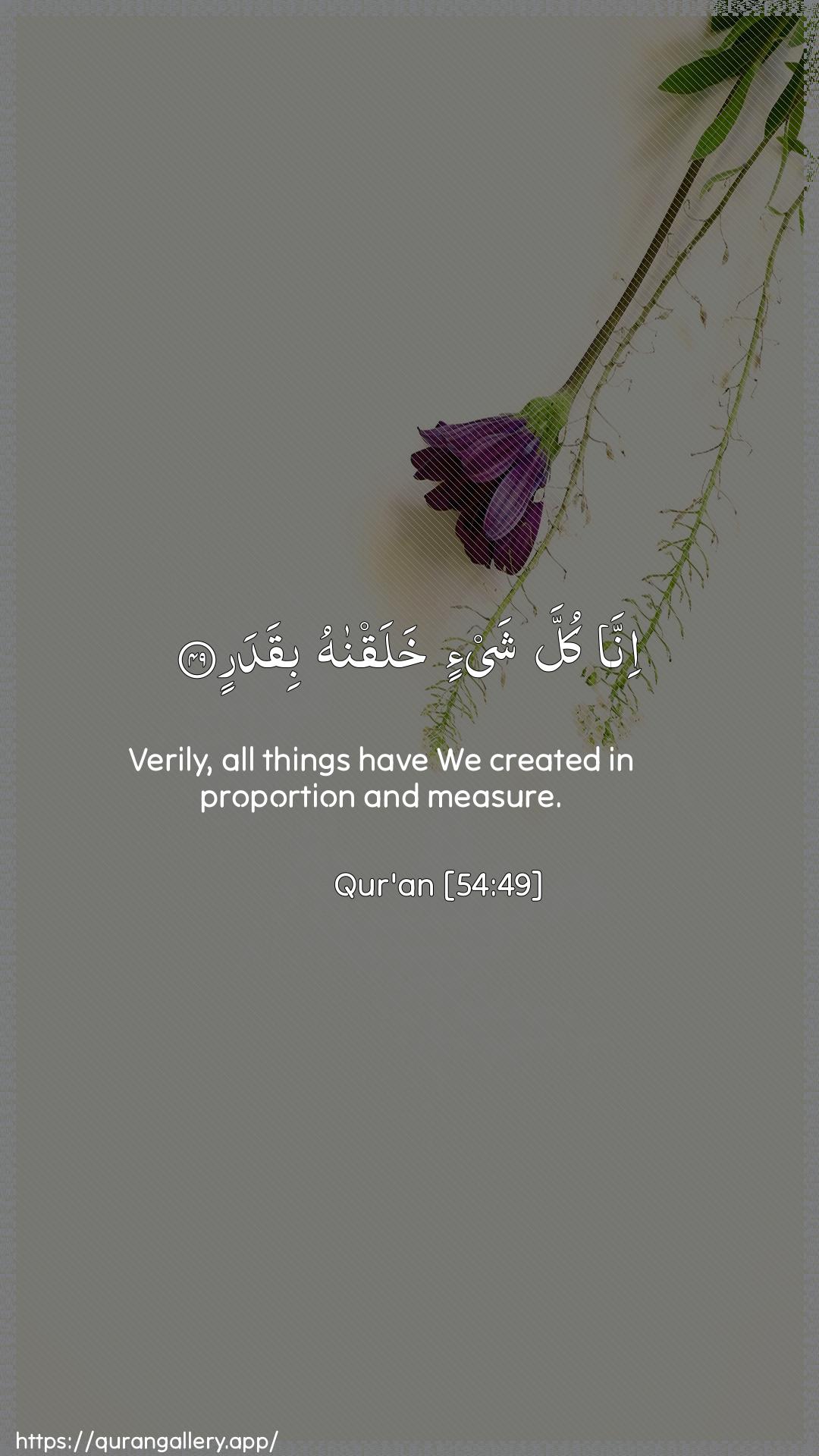 Surah Al-Qamar Ayah 49 of 54 HD Wallpaper: Download Beautiful vertical Quran Verse Image | Inna kulla shay-in khalaqnahubiqadar