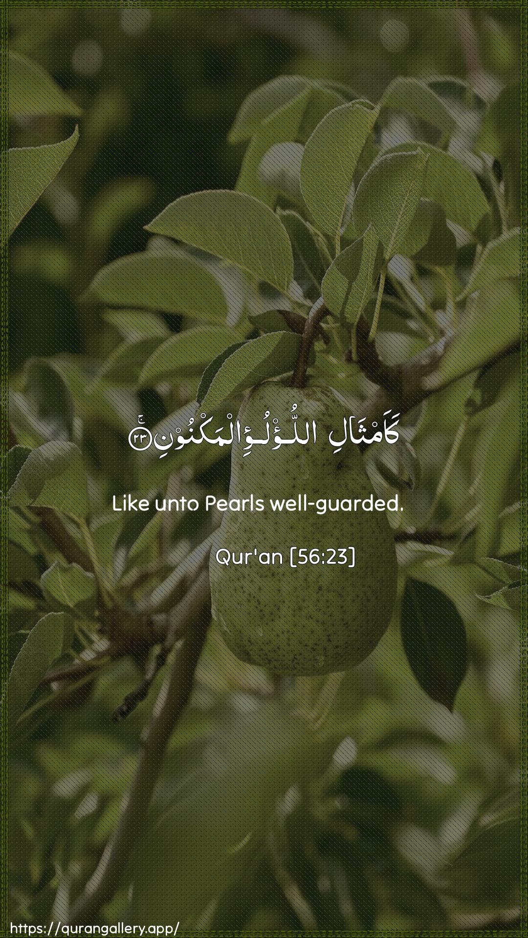 Surah Al-Waaqia Ayah 23 of 56 HD Wallpaper: Download Beautiful vertical Quran Verse Image | Kaamthali allu/lui almaknoon