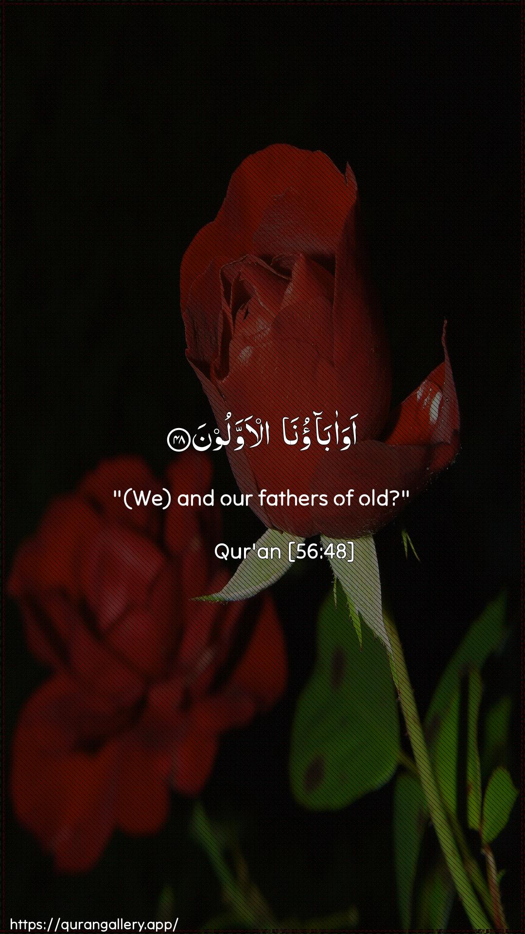 Surah Al-Waaqia Ayah 48 of 56 HD Wallpaper: Download Beautiful vertical Quran Verse Image | Awa abaona al-awwaloon