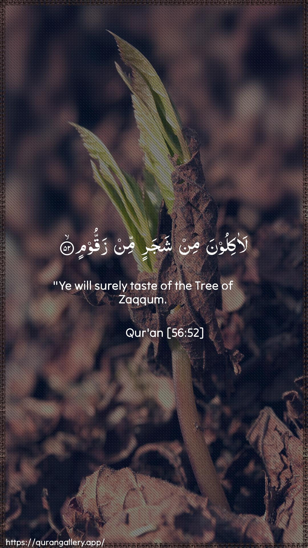 Surah Al-Waaqia Ayah 52 of 56 HD Wallpaper: Download Beautiful vertical Quran Verse Image | Laakiloona min shajarin min zaqqoom