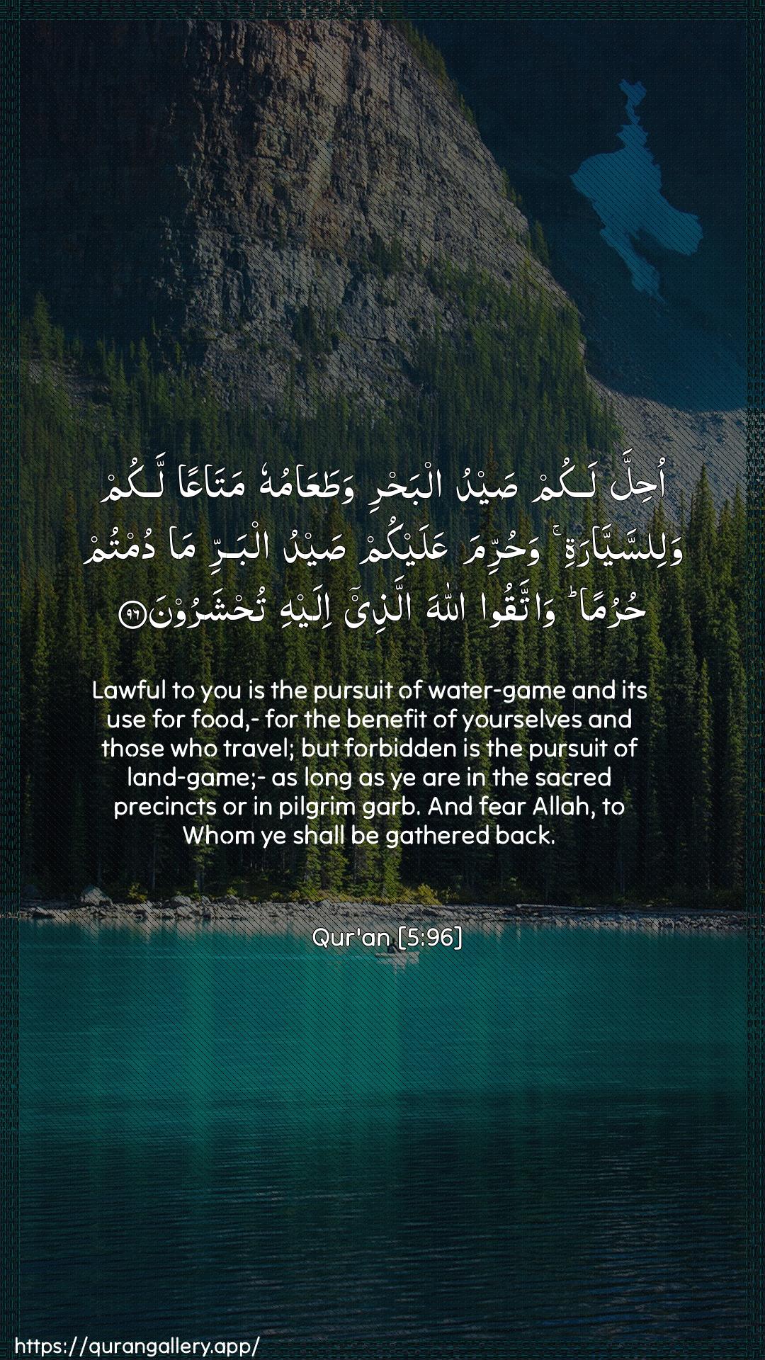 Surah Al-Maaida Ayah 96 of 5 HD Wallpaper: Download Beautiful vertical Quran Verse Image | Ohilla lakum saydu albahriwataAAamuhu mataAAan lakum walissayyaratiwahurrima AAalaykum saydu albarri ma dumtum hurumanwattaqoo Allaha allathee ilayhi tuhsharoon