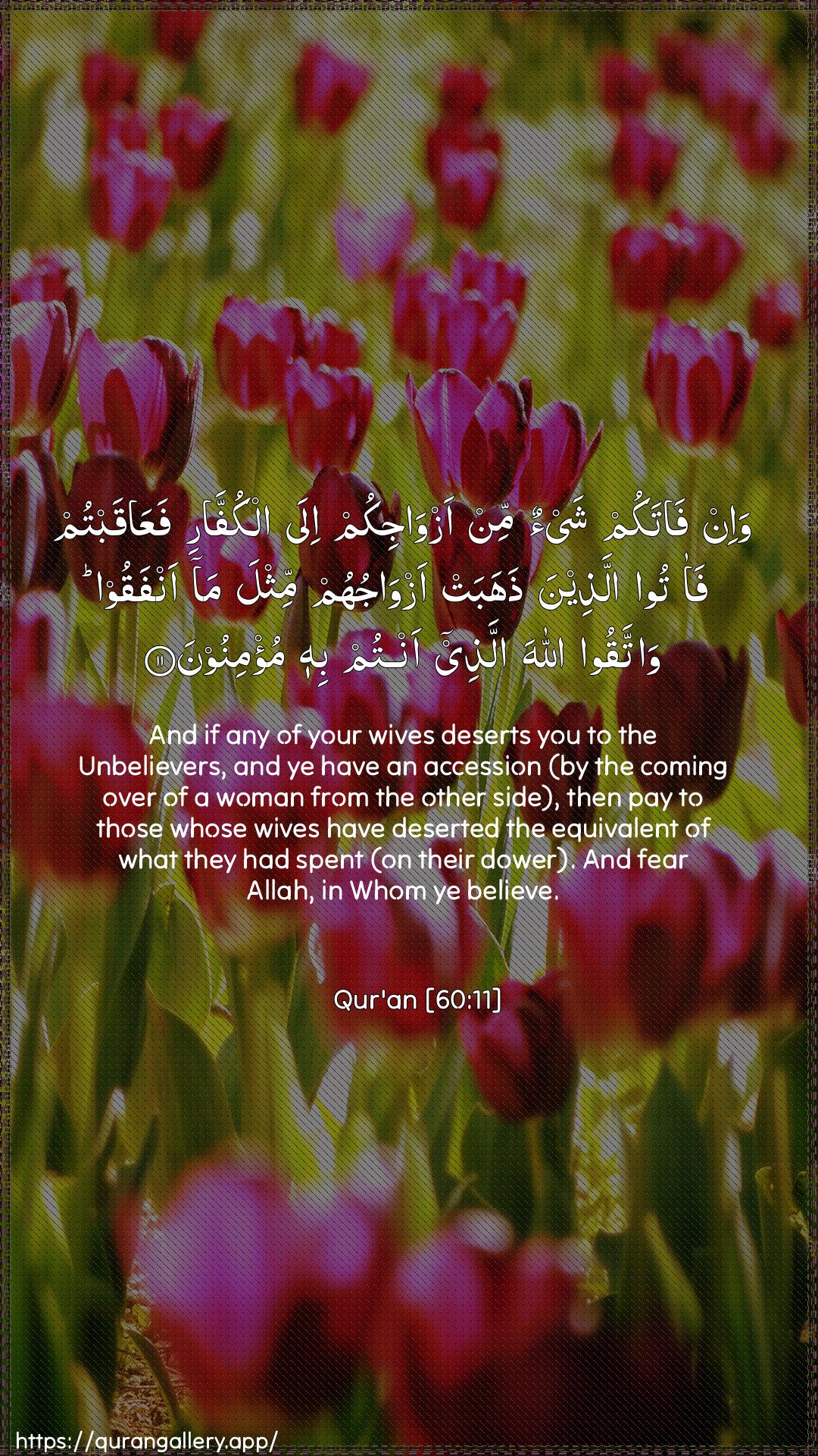 Surah Al-Mumtahana Ayah 11 of 60 HD Wallpaper: Download Beautiful vertical Quran Verse Image | Wa-in fatakum shay-on min azwajikumila alkuffari faAAaqabtum faatoo allatheenathahabat azwajuhum mithla ma anfaqoo wattaqooAllaha allathee antum bihi mu/minoon