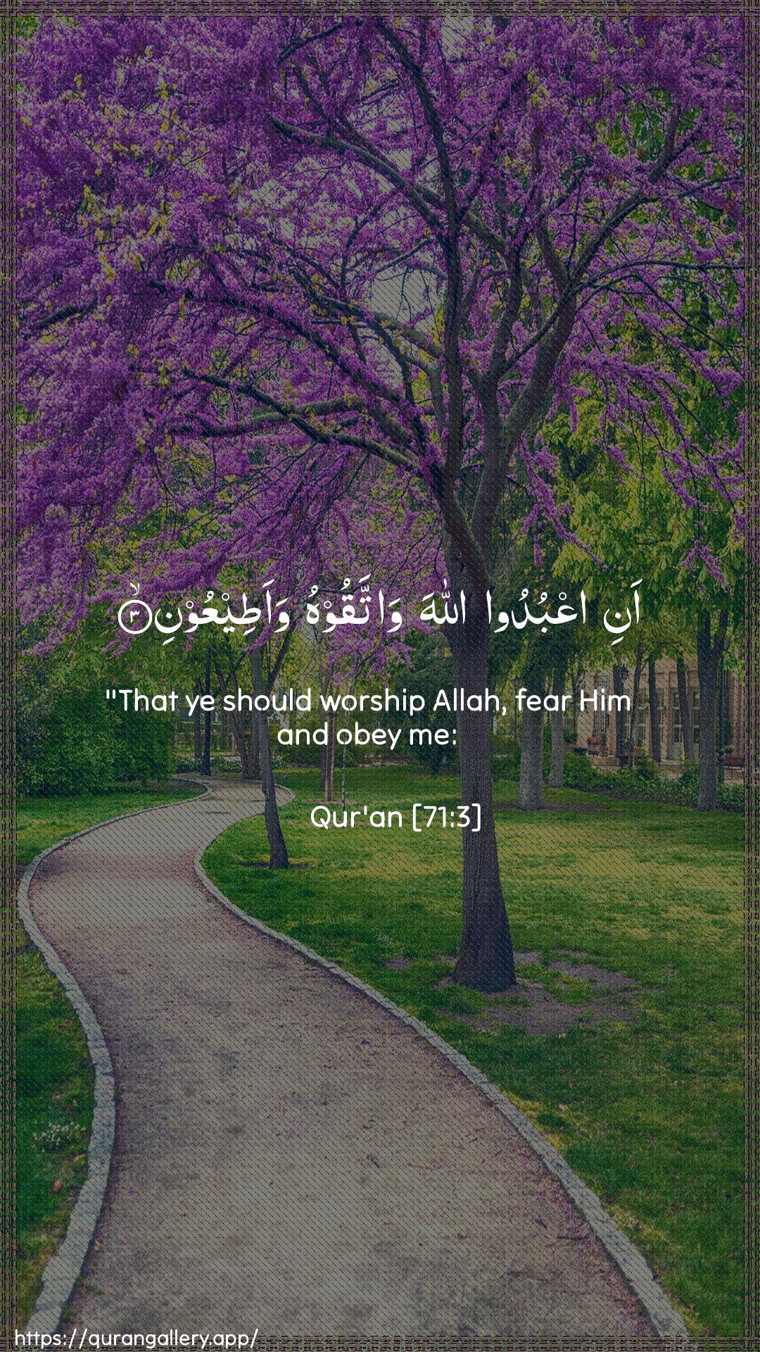 Surah Nooh Ayah 3 of 71 HD Wallpaper: Download Beautiful vertical Quran Verse Image | Ani oAAbudoo Allaha wattaqoohuwaateeAAoon