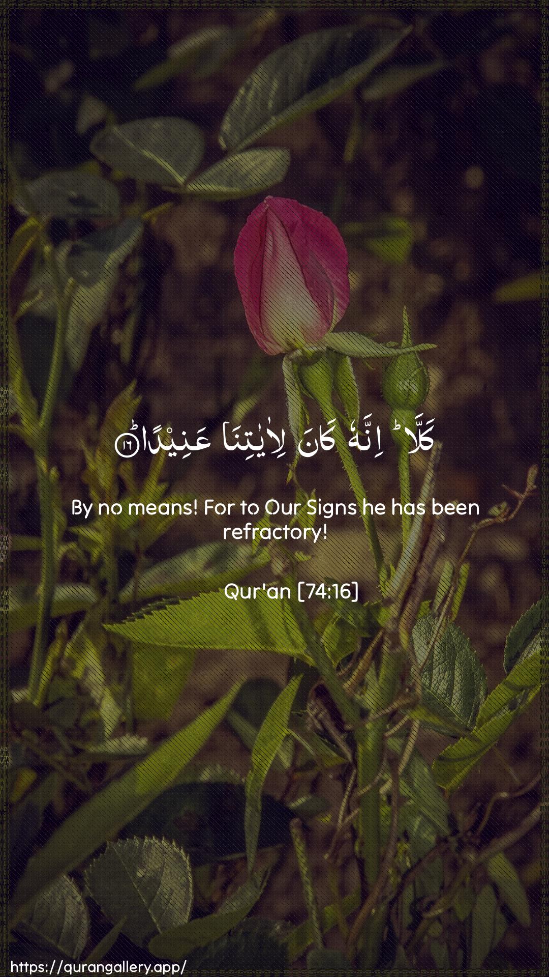 Surah Al-Muddaththir Ayah 16 of 74 HD Wallpaper: Download Beautiful vertical Quran Verse Image | Kalla innahu kana li-ayatinaAAaneeda