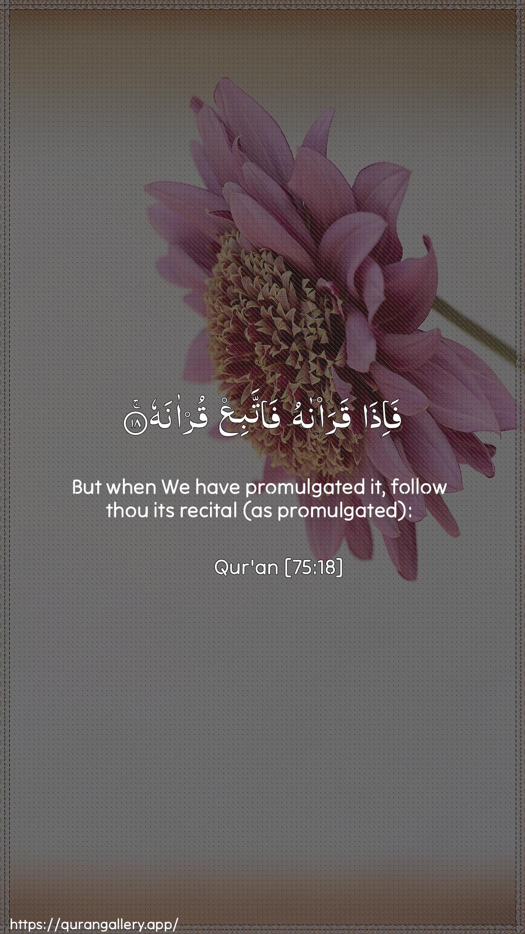 Surah Al-Qiyaama Ayah 18 of 75 HD Wallpaper: Download Beautiful vertical Quran Verse Image | Fa-itha qara/nahu fattabiAAqur-anah