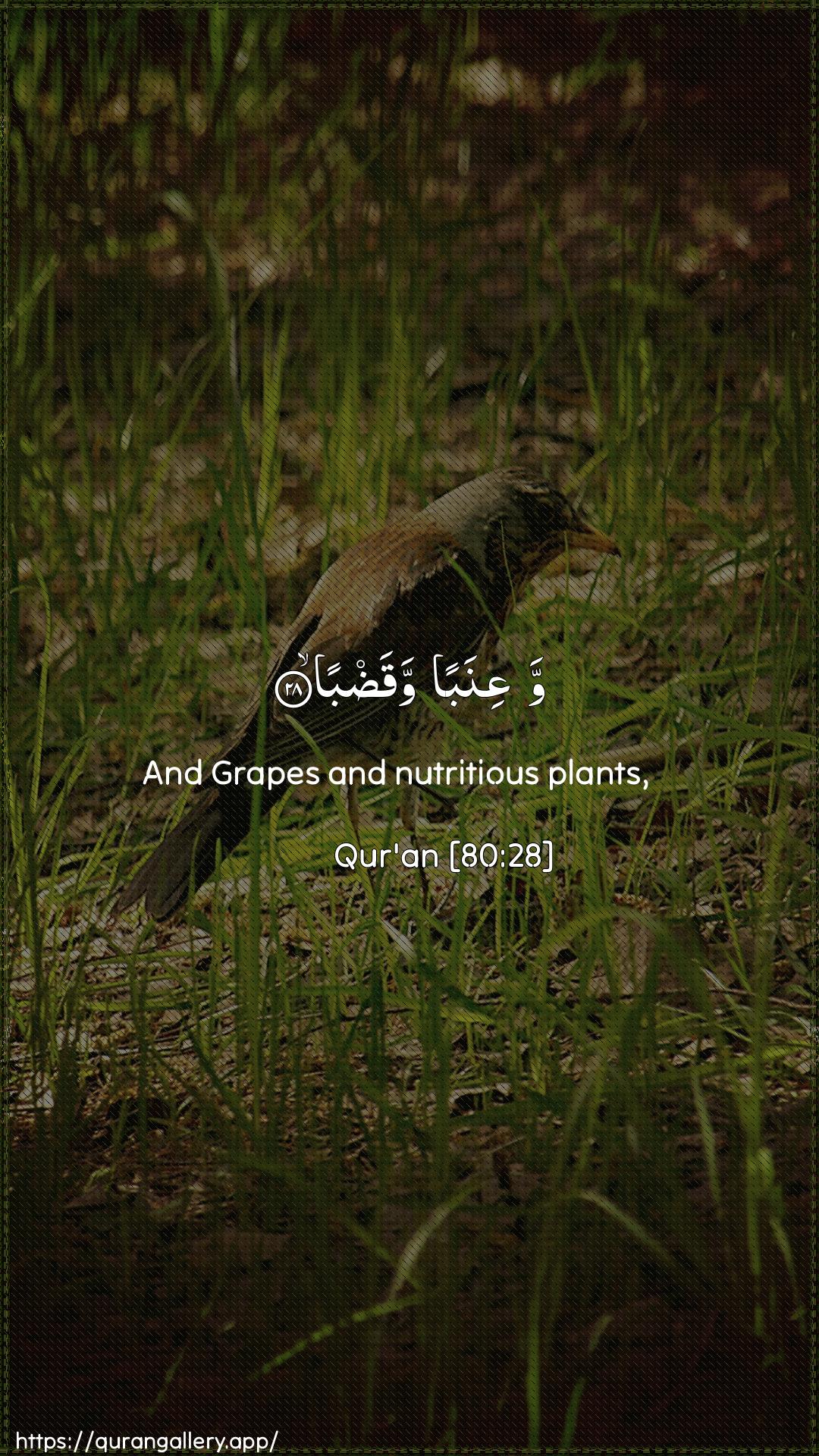 Surah Abasa Ayah 28 of 80 HD Wallpaper: Download Beautiful vertical Quran Verse Image | WaAAinaban waqadba