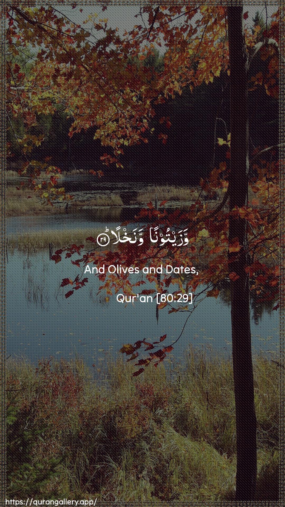 Surah Abasa Ayah 29 of 80 HD Wallpaper: Download Beautiful vertical Quran Verse Image | Wazaytoonan wanakhla