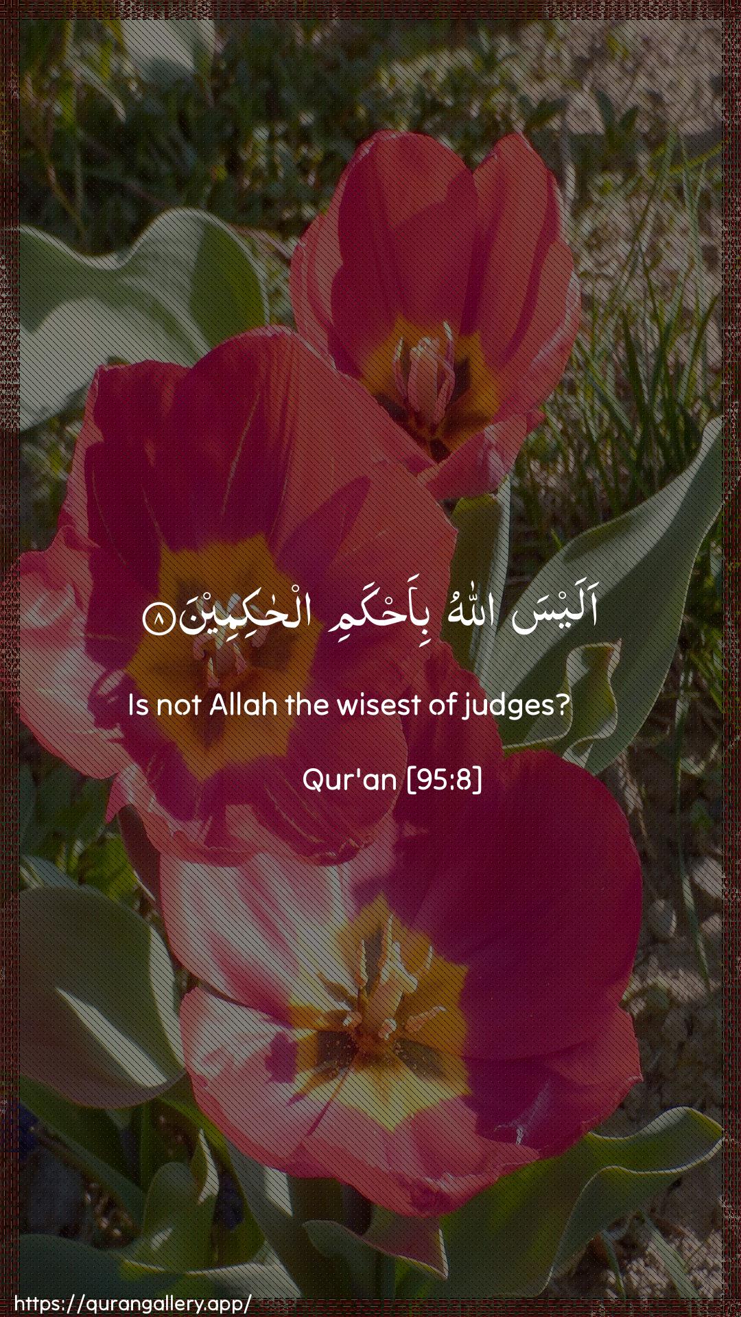 Surah At-Tin Ayah 8 of 95 HD Wallpaper: Download Beautiful vertical Quran Verse Image | Alaysa Allahu bi-ahkami alhakimeen