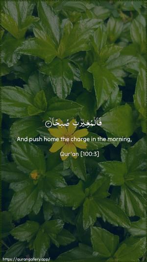 Al-Aadiyaat Ayah 3 - Arabic + English wallpaper