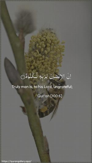Al-Aadiyaat Ayah 6 - Arabic + English wallpaper