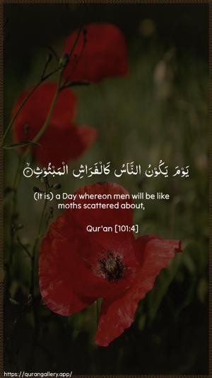 Al-Qaari"a Ayah 4 - Arabic + English wallpaper