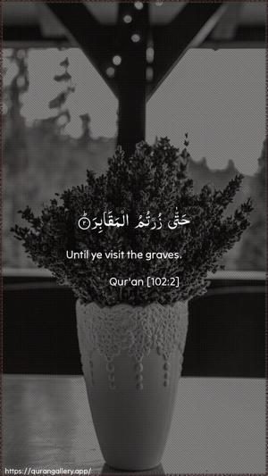 At-Takaathur Ayah 2 - Arabic + English wallpaper
