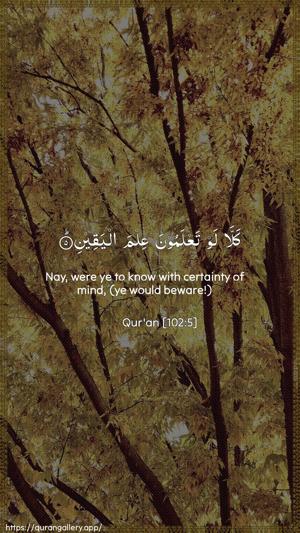 At-Takaathur Ayah 5 - Arabic + English wallpaper