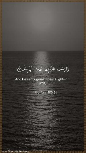 Al-Fil Ayah 3 - Arabic + English wallpaper