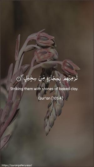 Al-Fil Ayah 4 - Arabic + English wallpaper