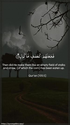 Al-Fil Ayah 5 - Arabic + English wallpaper
