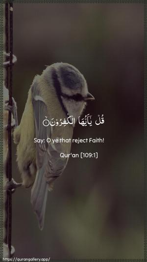 Al-Kaafiroon Ayah 1 - Arabic + English wallpaper