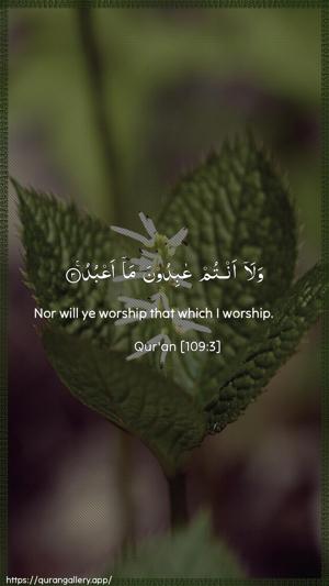 Al-Kaafiroon Ayah 3 - Arabic + English wallpaper