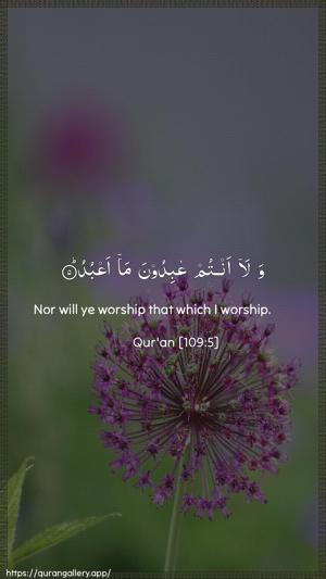 Al-Kaafiroon Ayah 5 - Arabic + English wallpaper