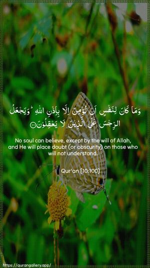 Yunus Ayah 100 - Arabic + English wallpaper