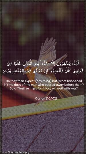 Yunus Ayah 102 - Arabic + English wallpaper