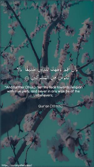 Yunus Ayah 105 - Arabic + English wallpaper