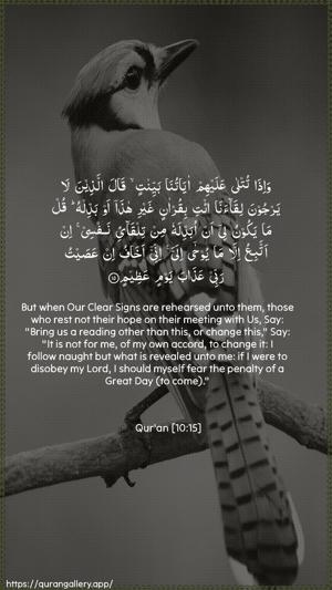 Yunus Ayah 15 - Arabic + English wallpaper
