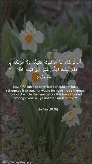 Yunus Ayah 16 - Arabic + English wallpaper