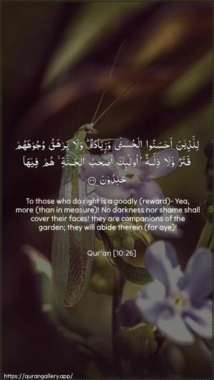 Yunus Ayah 26 - Arabic + English wallpaper