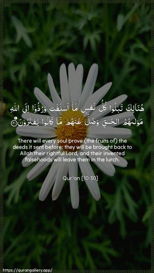 Yunus Ayah 30 - Arabic + English wallpaper