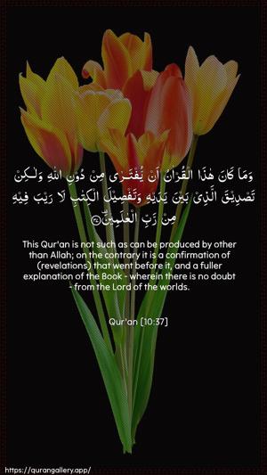 Yunus Ayah 37 - Arabic + English wallpaper