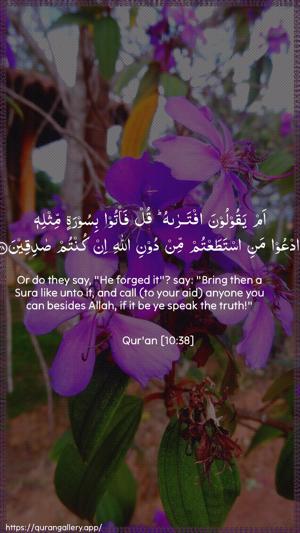 Yunus Ayah 38 - Arabic + English wallpaper