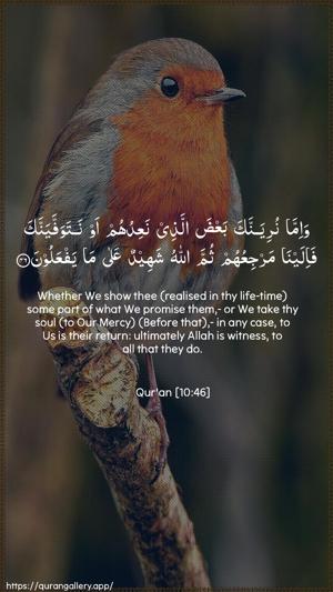 Yunus Ayah 46 - Arabic + English wallpaper